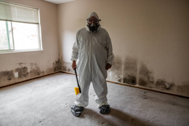 Best Crawl Space Mold Removal  in Jacksonville, AL